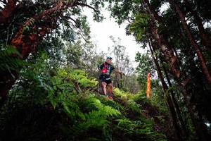 BIB: 
                            <button type="button" onclick="openModal(26204930)" class="btn btn-primary btn-sm float-right btn-popup" data-toggle="modal" data-target=".modal-high-quality">
                        <i class="fas fa-shopping-cart"></i> Add to Cart
                    </button>
                                            <button type="button" onclick="isThisMe(26204930, true)" class="btn btn-success btn-sm float-right btn-popup btn-isme hidden" data-toggle="tooltip" data-placement="bottom" title="นี่คือรูปของคุณใช่ไหม คลิกที่นี่เพื่อเอาเข้าอัลบั้ม">
                        <i class="fas fa-plus"></i> Add to album
                    </button>
                    <button type="button" onclick="isThisMe(26204930, false)" class="btn btn-warning btn-sm float-right btn-popup btn-isnotme hidden">
                        <i class="fas fa-ban"></i> Remove from album
                    </button>